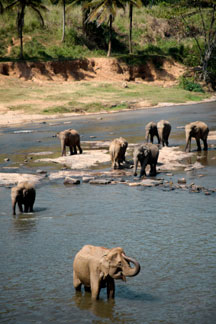 sri lanka film locations 